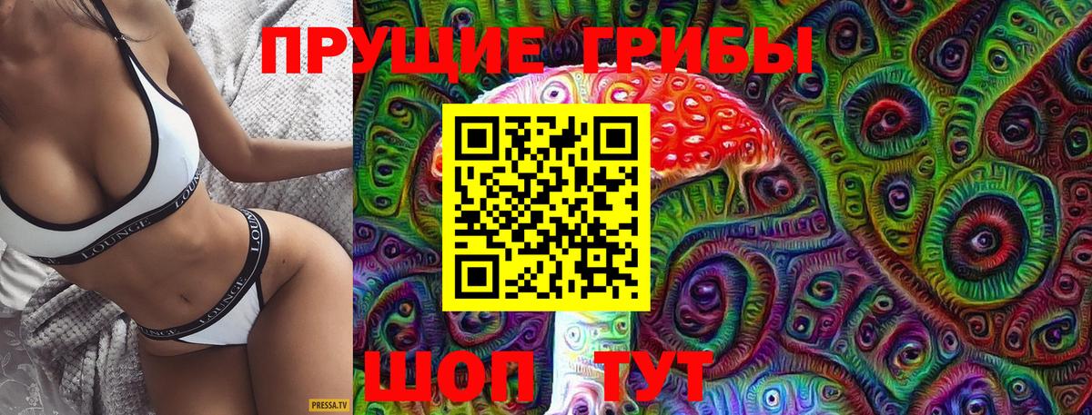 Сегежа  что такое наркотик  Вход с VPN  Псилоцибиновые грибы GOLDEN TEACHER 